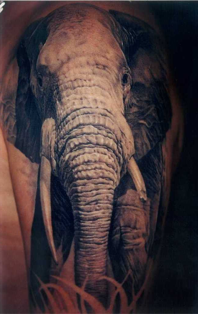 Africal Elephant realistic tattoo