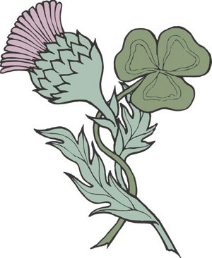 Scotish Thistle and Irish Trefoil