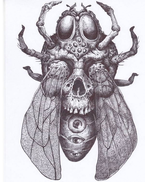 Spider Bee Scull tattoo sketch