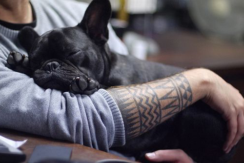 Doggy and the Ethnic Blackwork tattoo