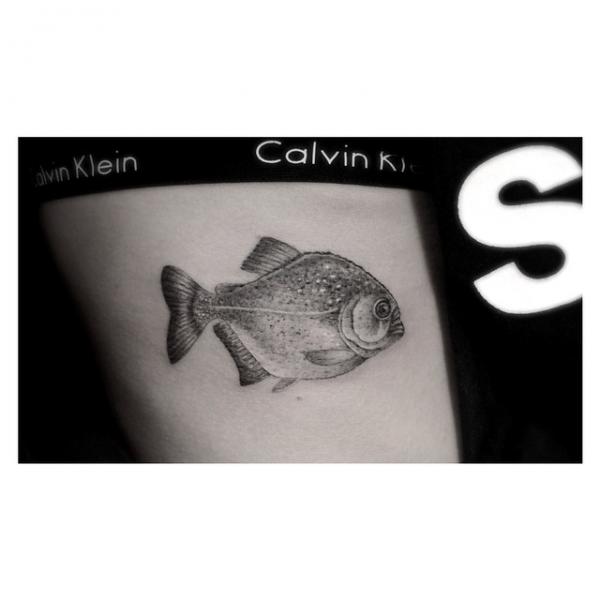 Pencil Drawn FIsh tattoo