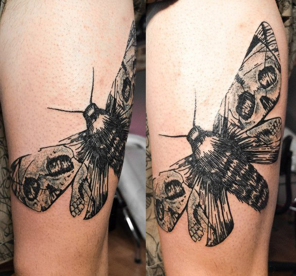 Scull Wings Moth Graphic tattoo idea