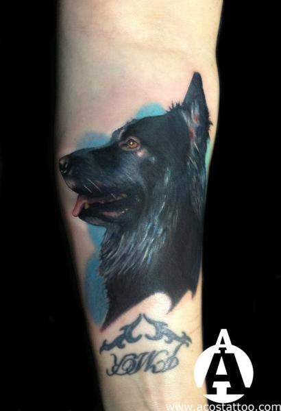 Black Dog Realistic tattoo by Andres Acosta