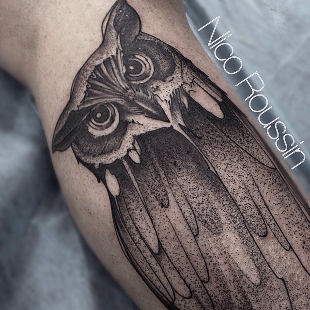 Curious Owl on Leg