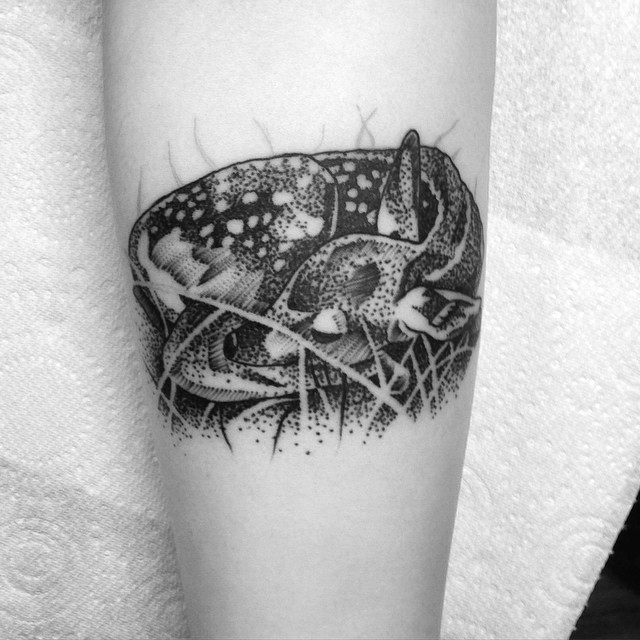 Sleeping Deer Dotwork tattoo