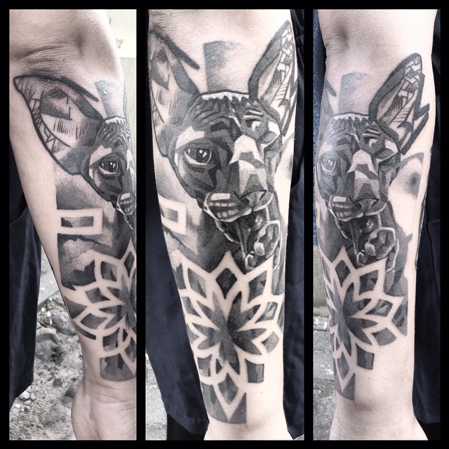 Sphynx Cat Arm tattoo