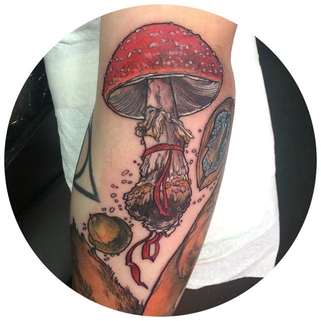 Arm Amanita tattoo