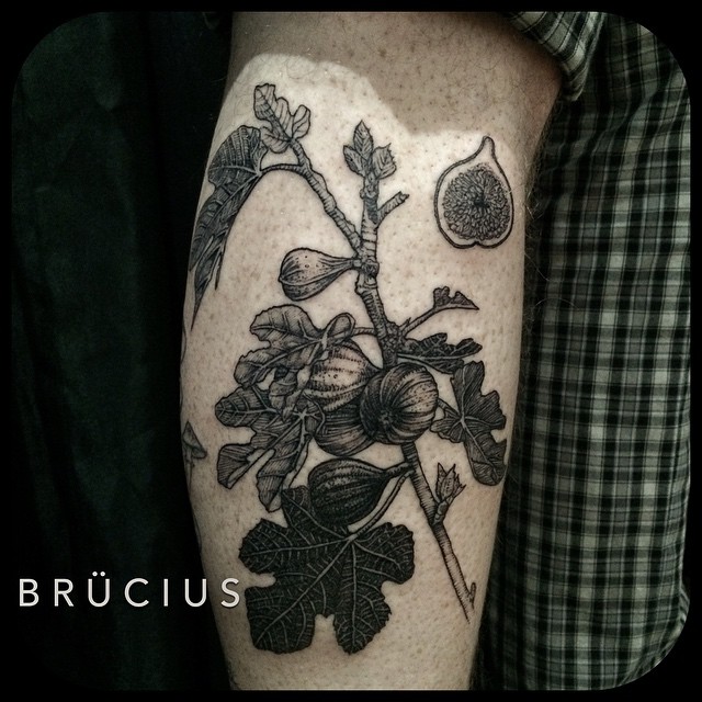 Arm Fig Etching tattoo