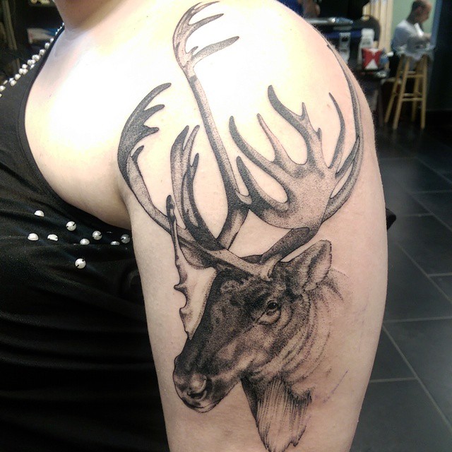 Shoulder Graphic Moose Tattoo