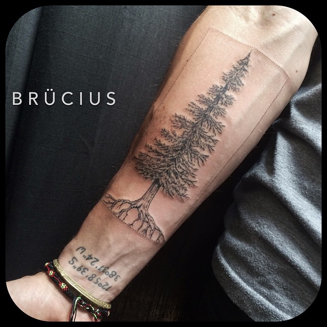 Arm Spruce Tattoo