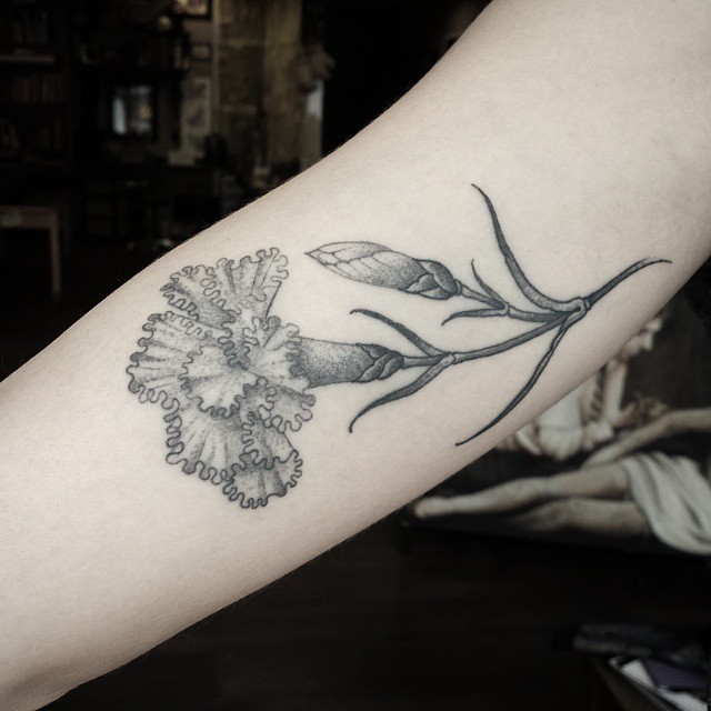 Flower Dianthus Tattoo