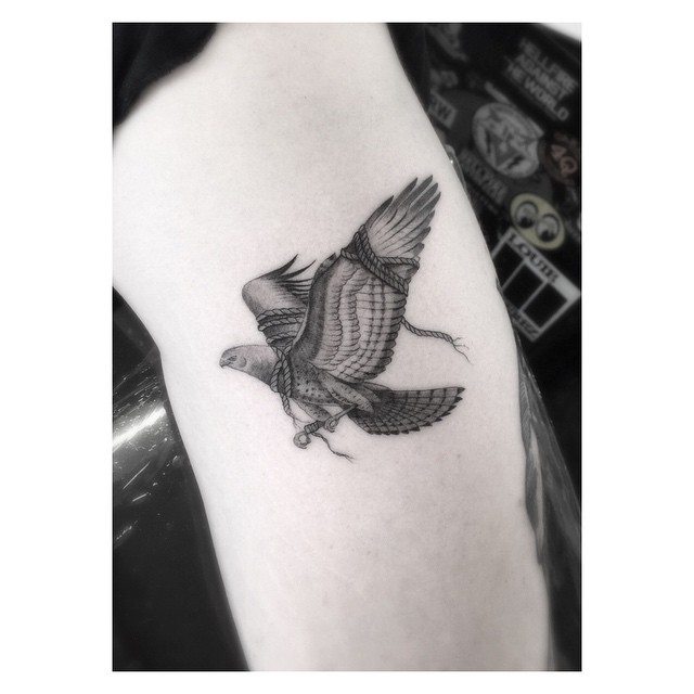 Unleashed Falcon Tattoo