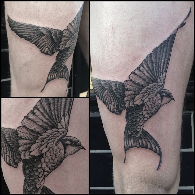 Swallow Bird Tattoo