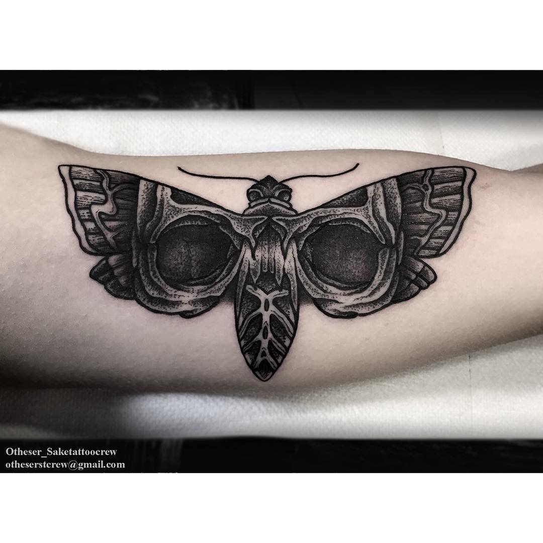 Wonderful Black Moth on Arm