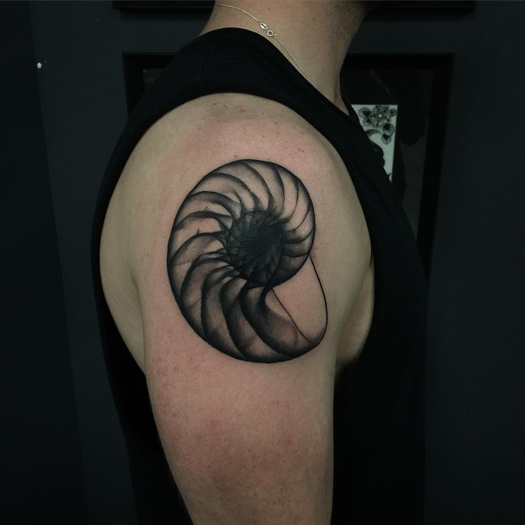 Nautilus Shell Tattoo