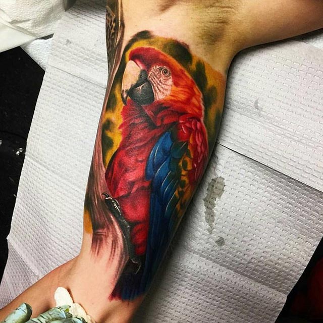 Parrot Tattoo