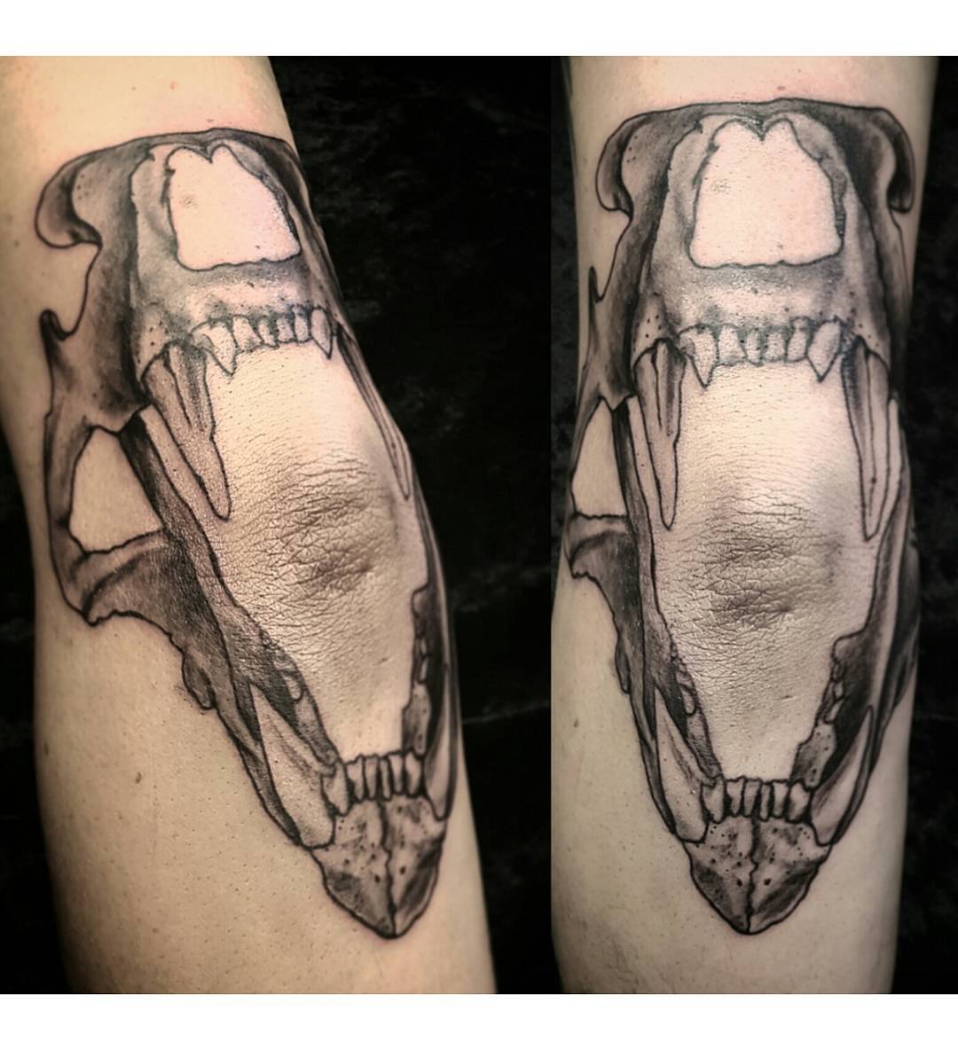 Jaws Tattoo on Elbow by jesskacrystalball