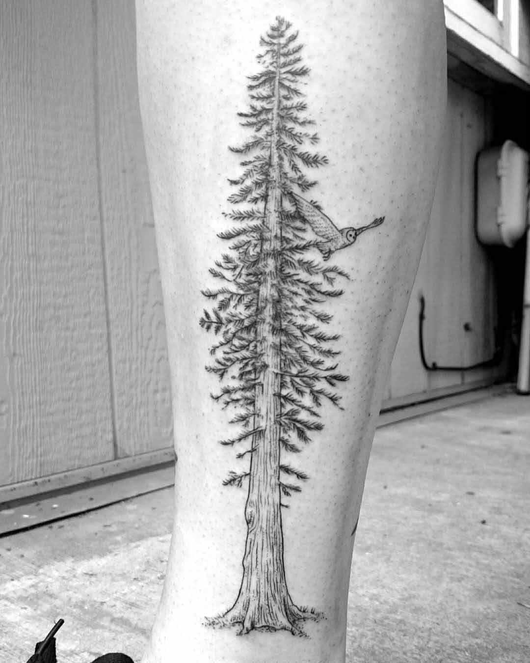 Shin Tattoo Tree by caspercallawaytattoo