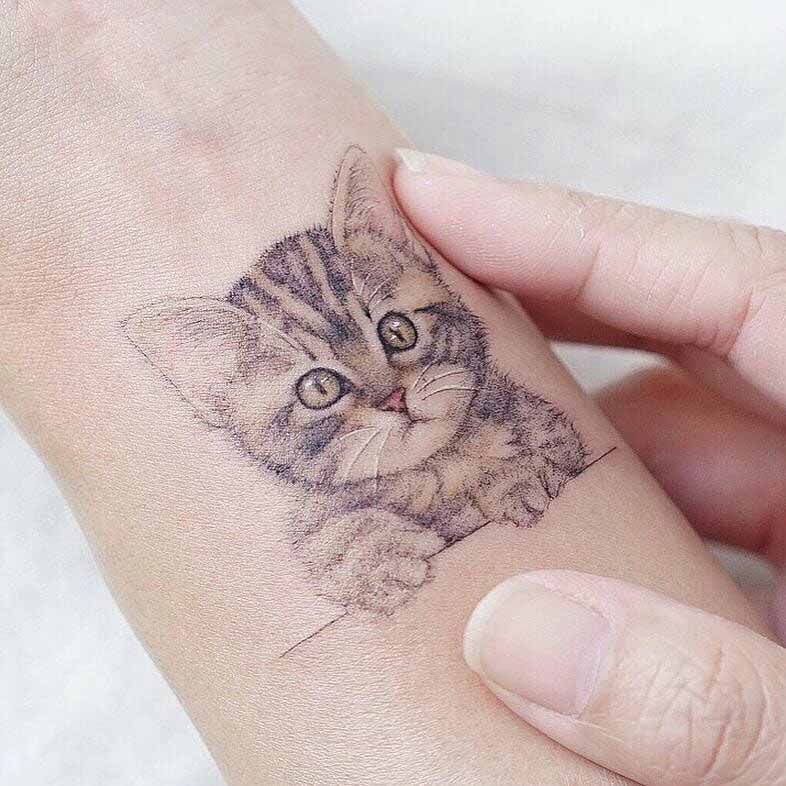 cute cat trattoo